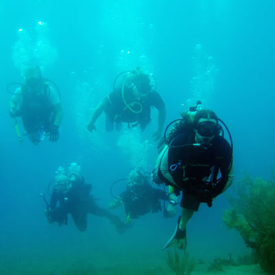 Diving School Unawatuna
